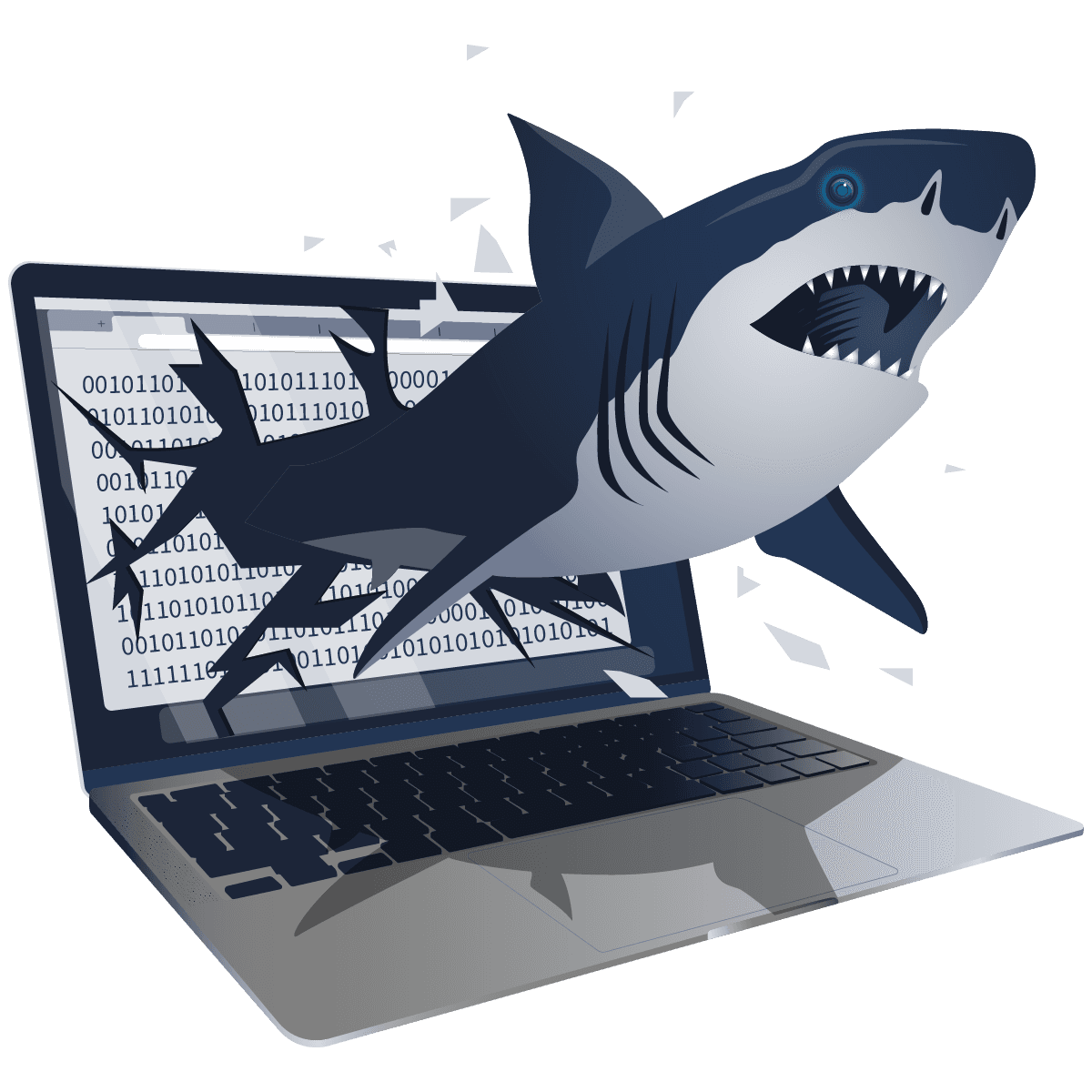 TryHackMe – TShark Challenge I: Teamwork